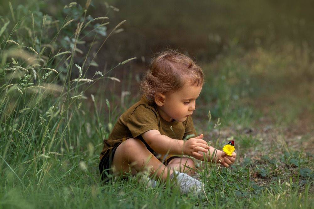 Фотография автора NORMA SÁENZ