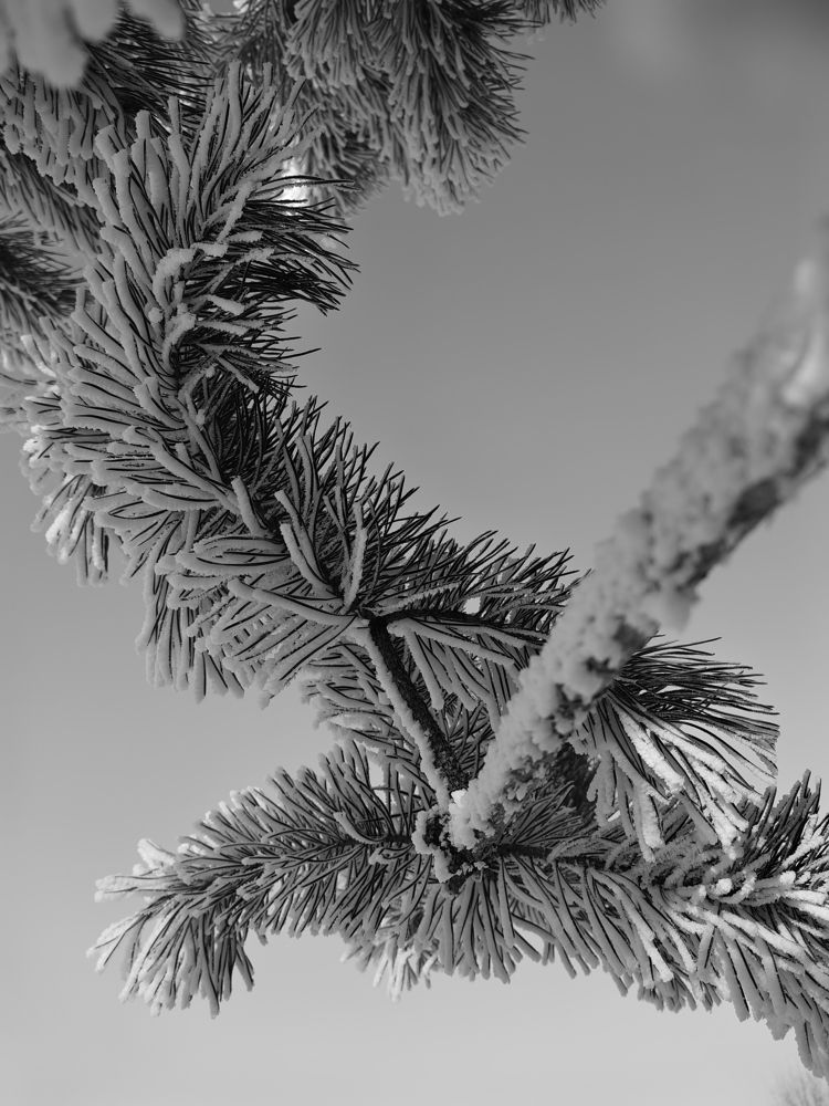 Photograph by Александр Вихарев