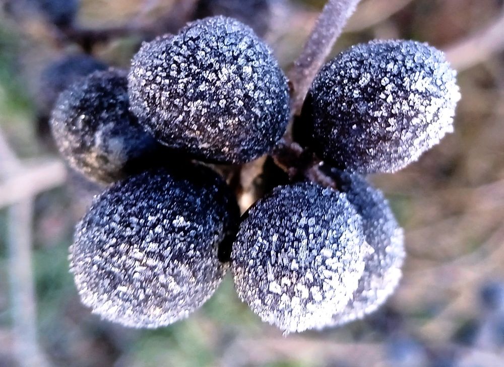 Photograph by Наталья Назаренко