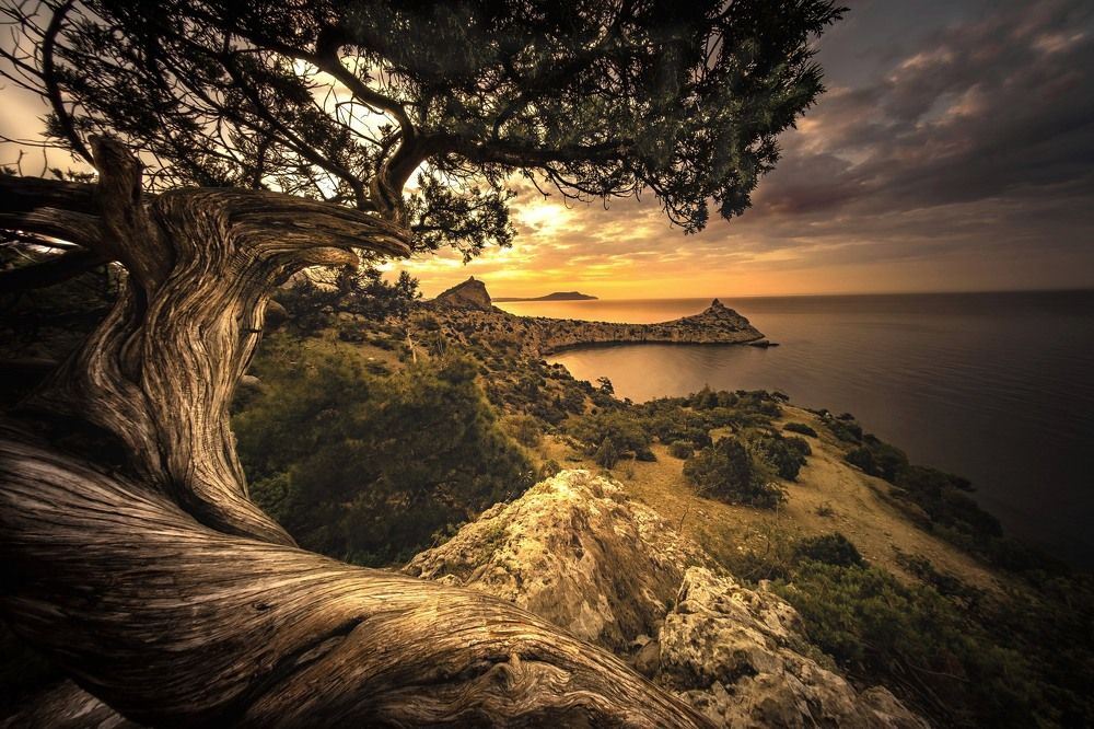 Photograph by Александр Разумов