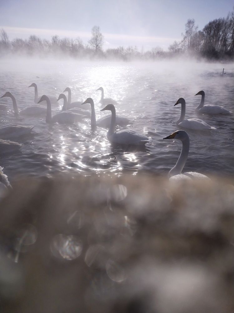 Photograph by Mor Alex