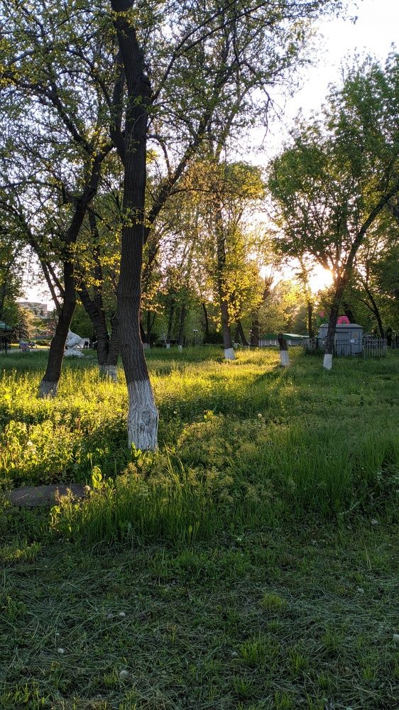 Photograph by Юлия Кононова