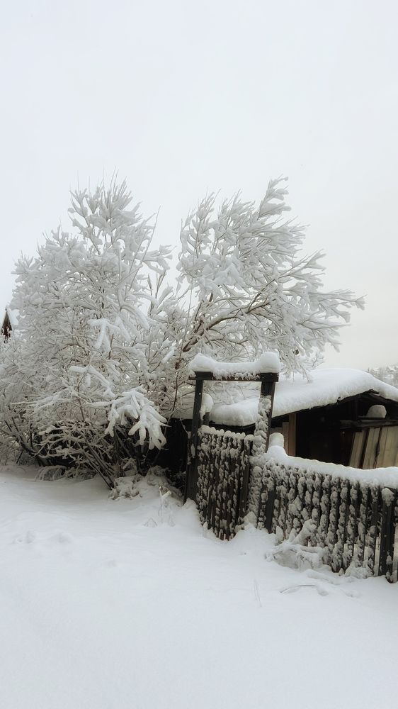 Photograph by Екатерина