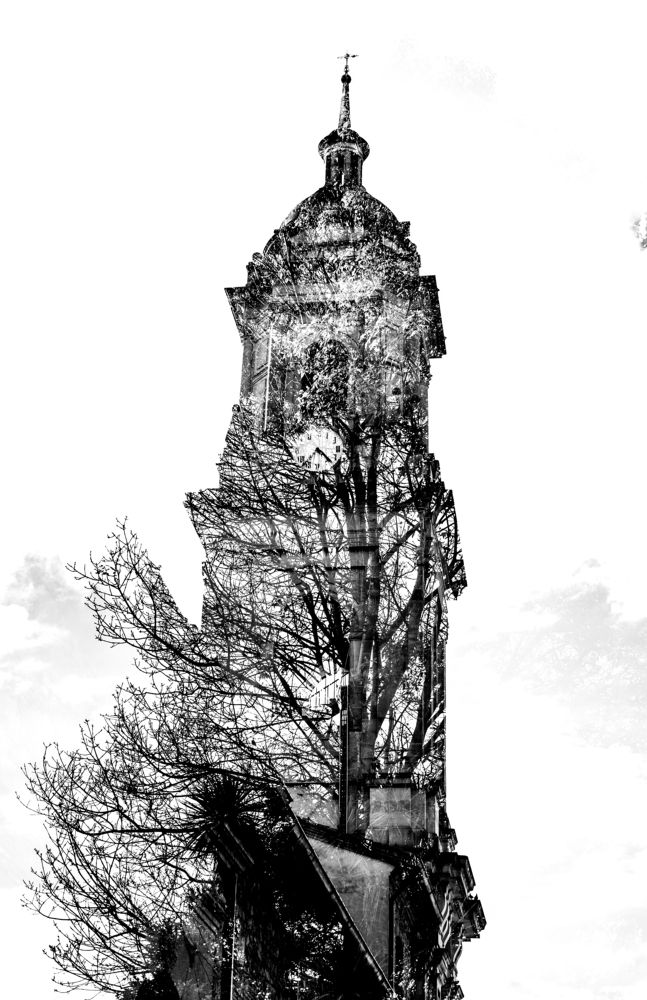 Фотография автора Lina María González Triana