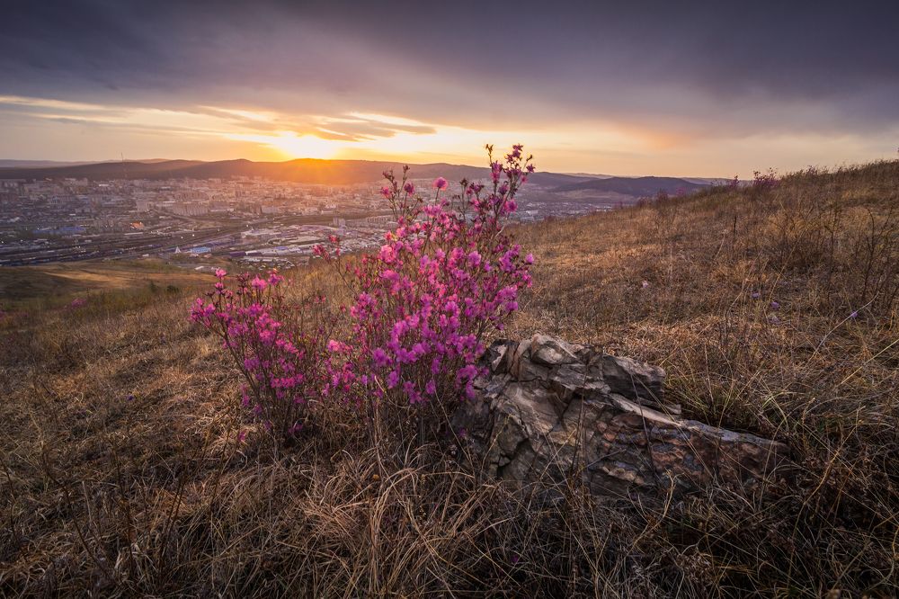 Photograph by Портных Дмитрий