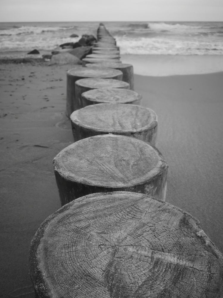 Photograph by Попов Виктор