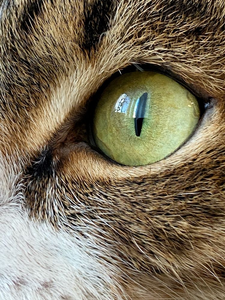 Photograph by Stanislava