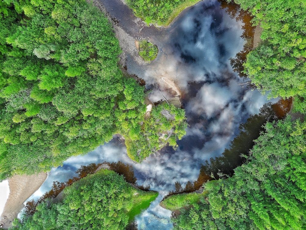 Photograph by Анастасия Зайцева