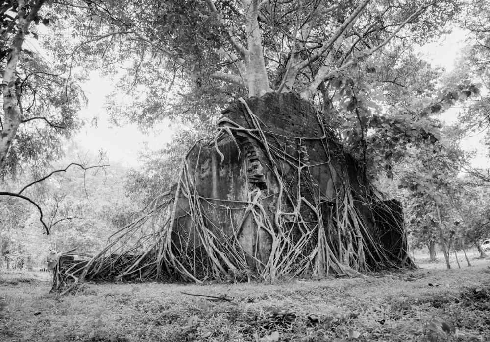 Photograph by Glorius Delima