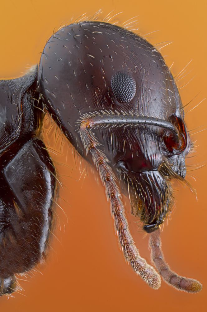 Photograph by José María Crisol Oca