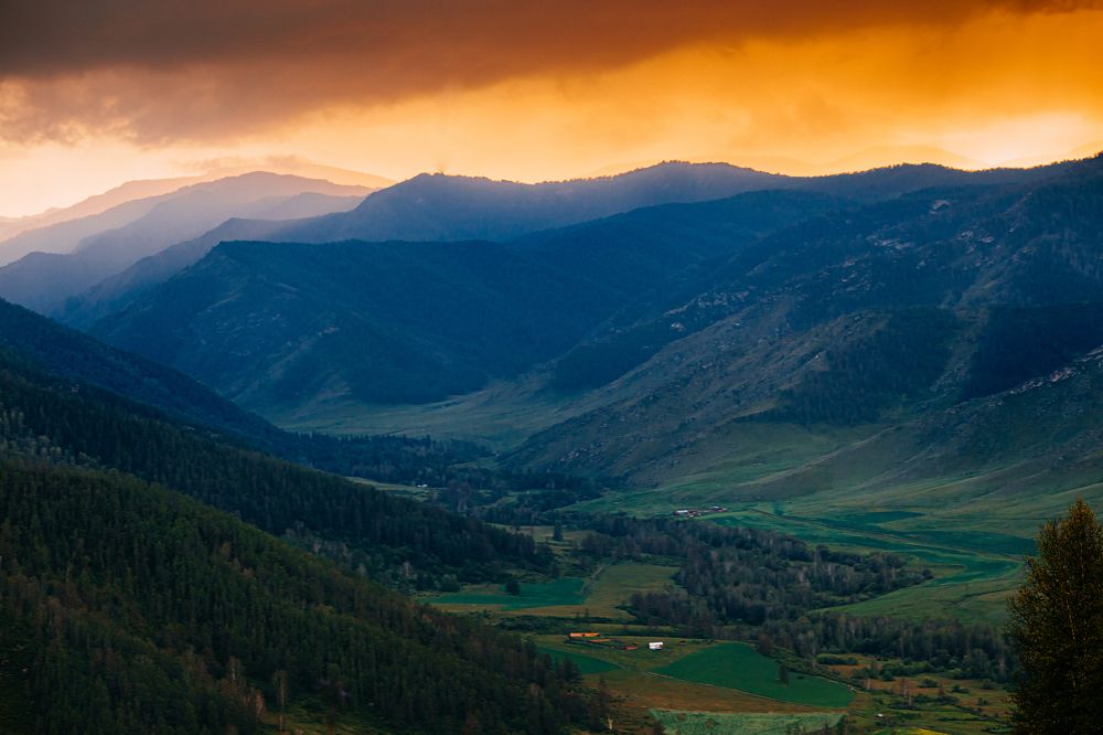 Фотография автора Анна Рыжкова