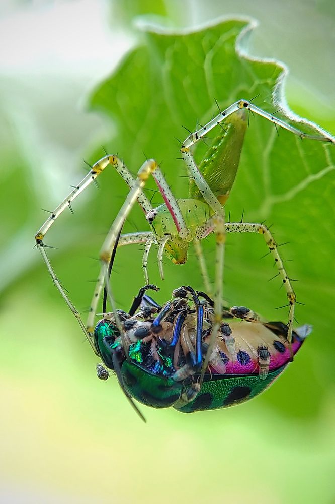Photograph by AVISHEK MUKHERJEE