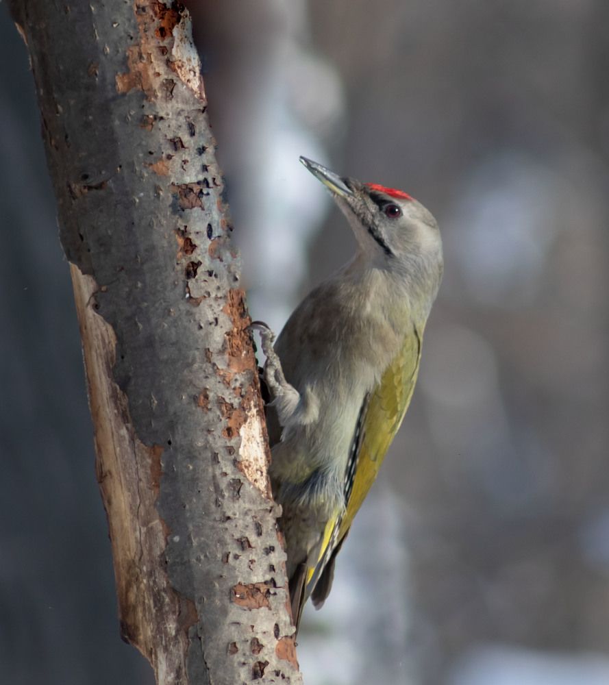 Photograph by Вера Почкалина
