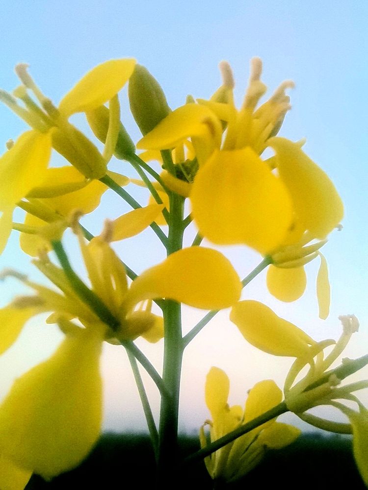 Photograph by Abdul Ghani