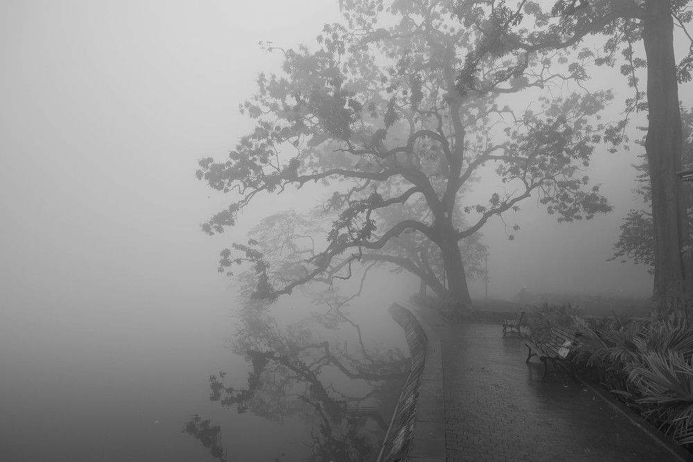 Photograph by Duc Nguyen