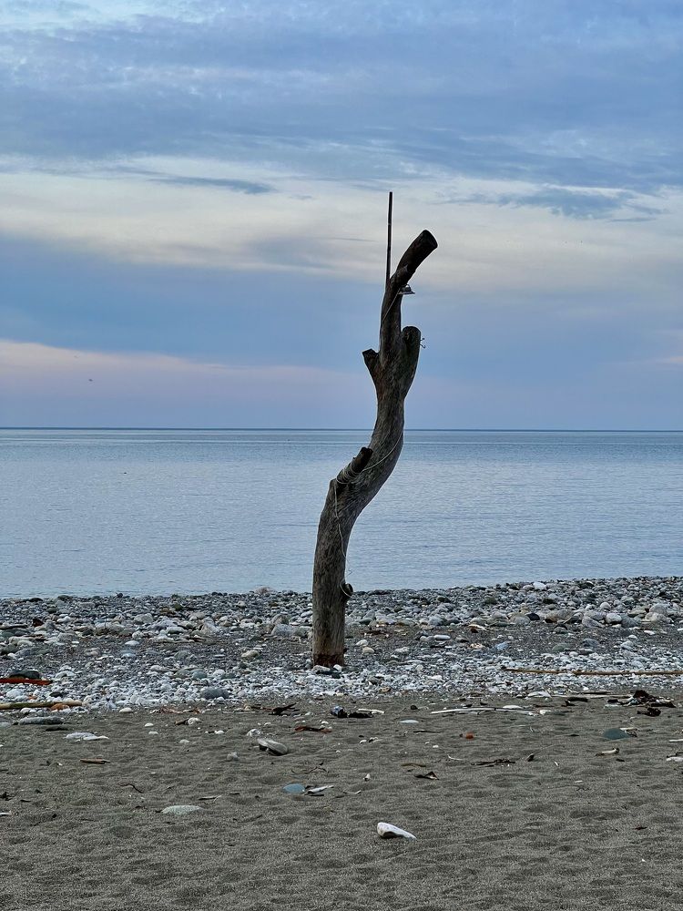 Photograph by Елена Мизина