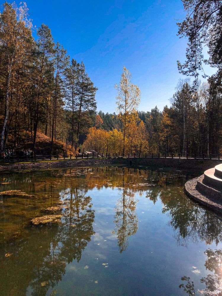 Фотография автора Светлана Гончарова