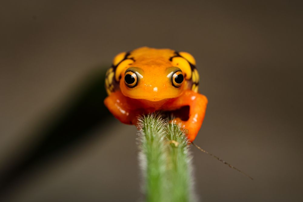 Photograph by Dhruv Shilpi