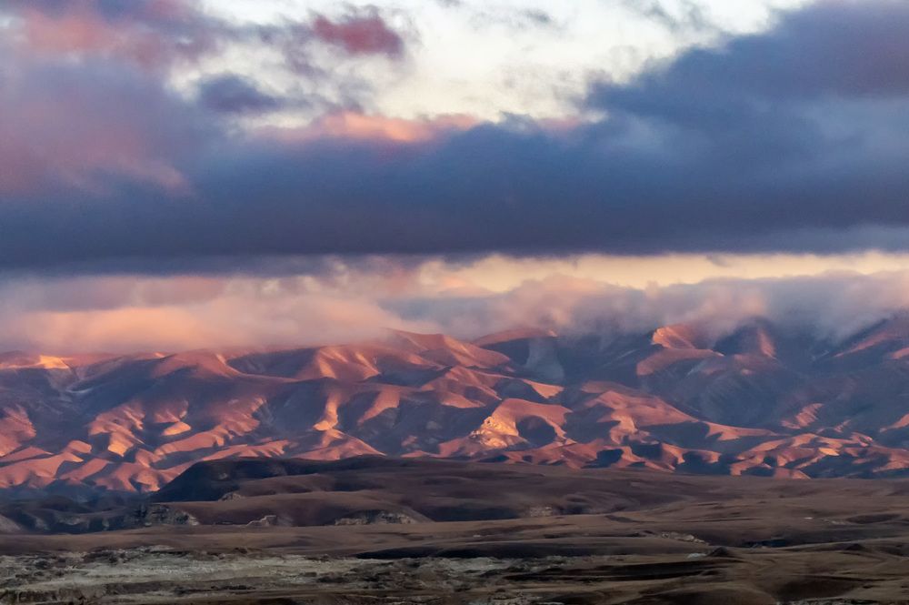 Photograph by Александр Щербаков