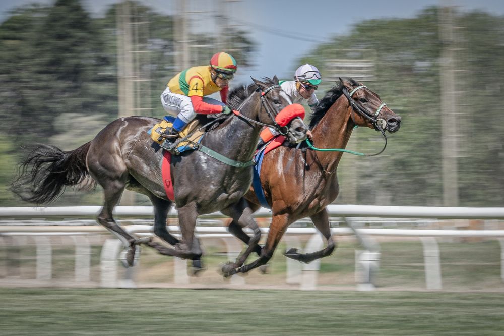 Фотография автора Carlos Gianoli