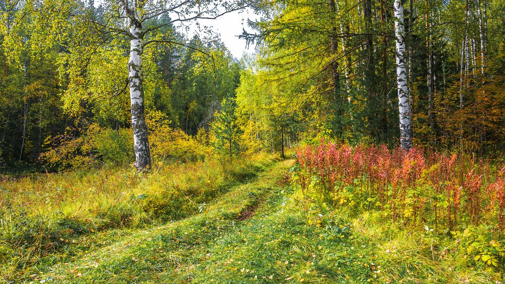 Photograph by Sergey Lebedev