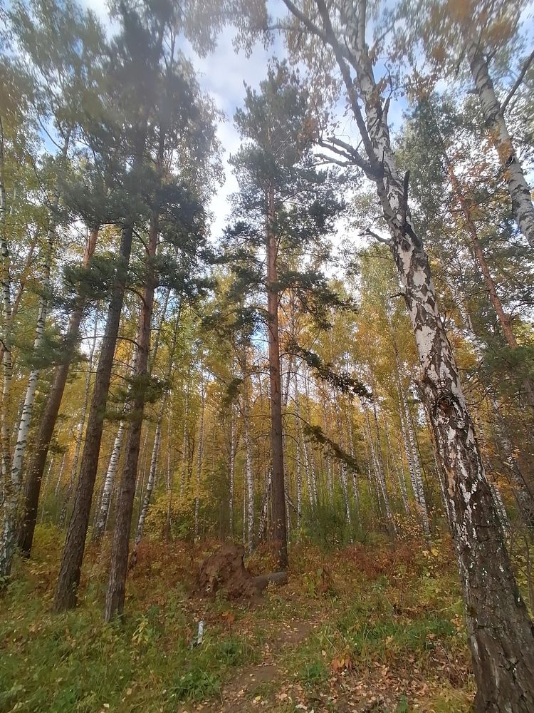 Photograph by Наталья Петухова