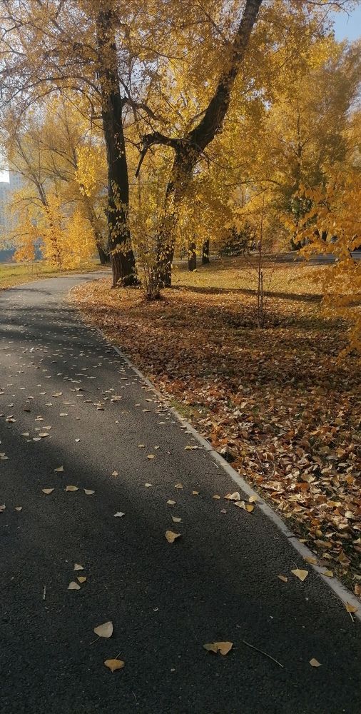 Photograph by Наталья Петухова