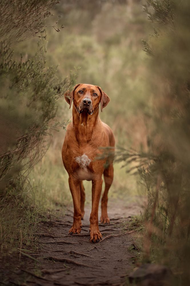 Photograph by Наталья Кузнец