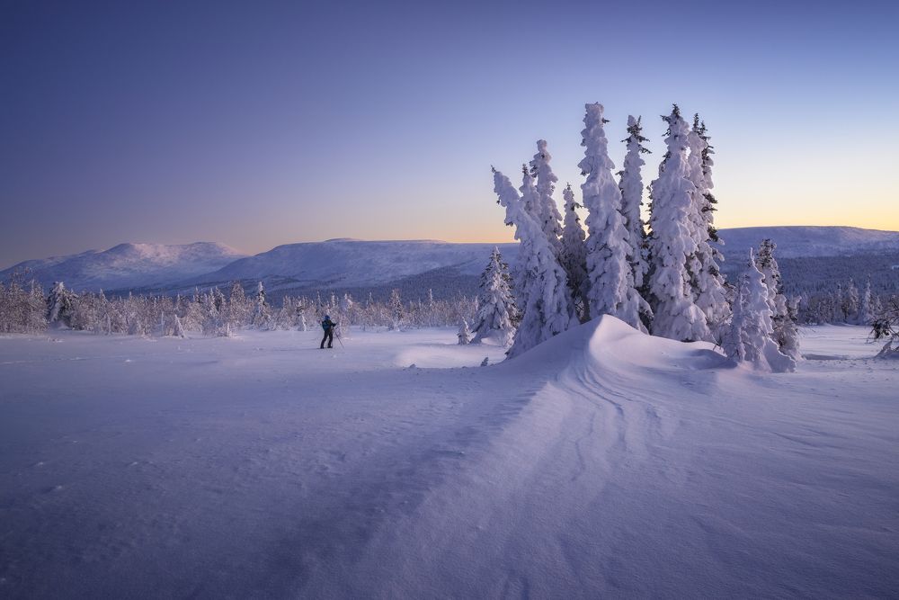 Photograph by Михаил Шаньгин