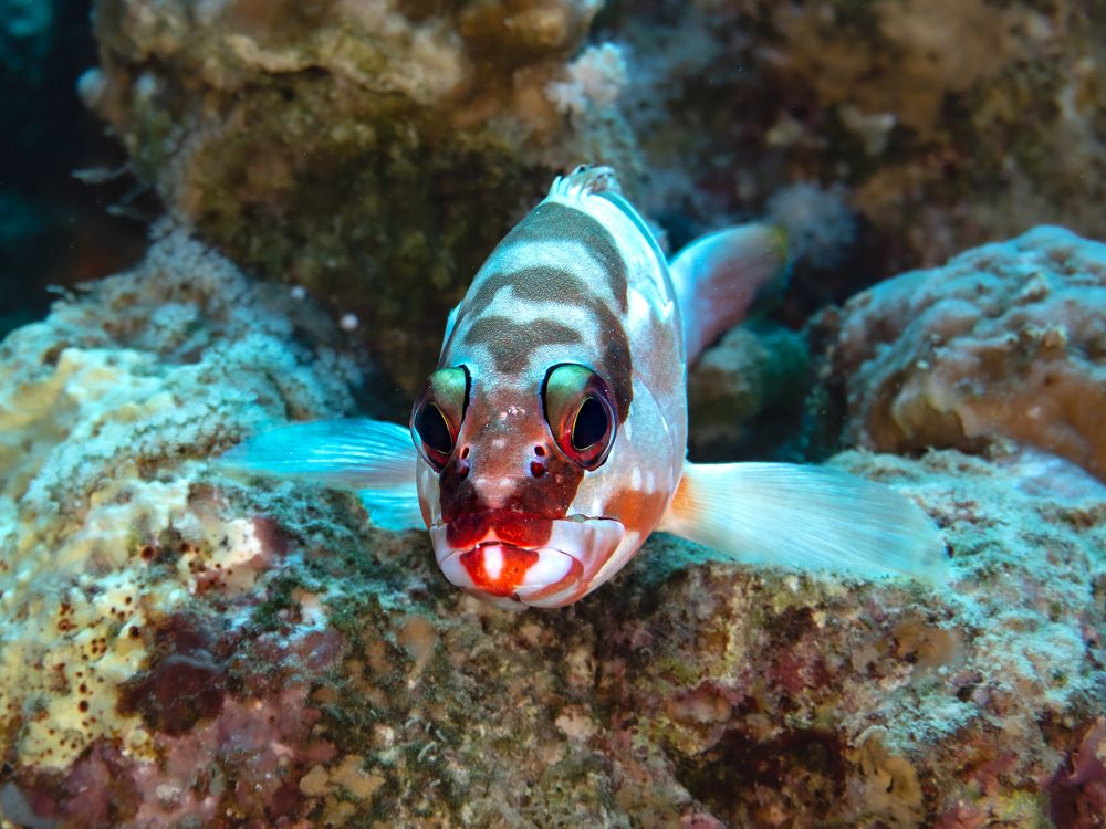 Photograph by JUAN M GUZMÁN