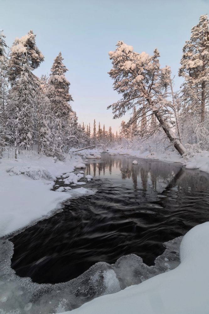 Photograph by Tatiana Meshcheryakova