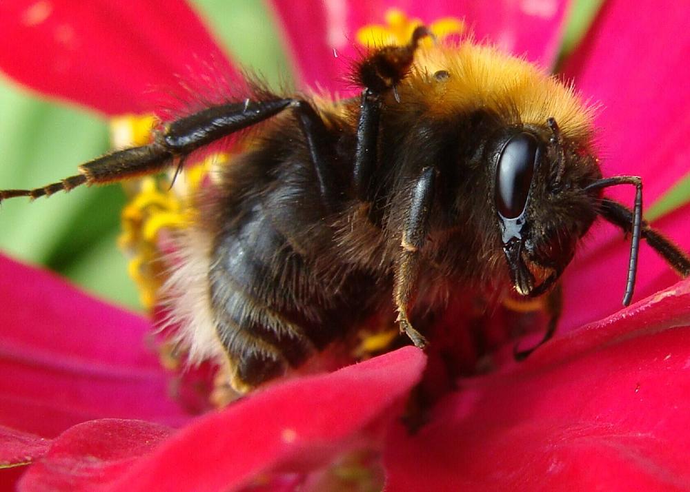 Фотография автора Павел Попов