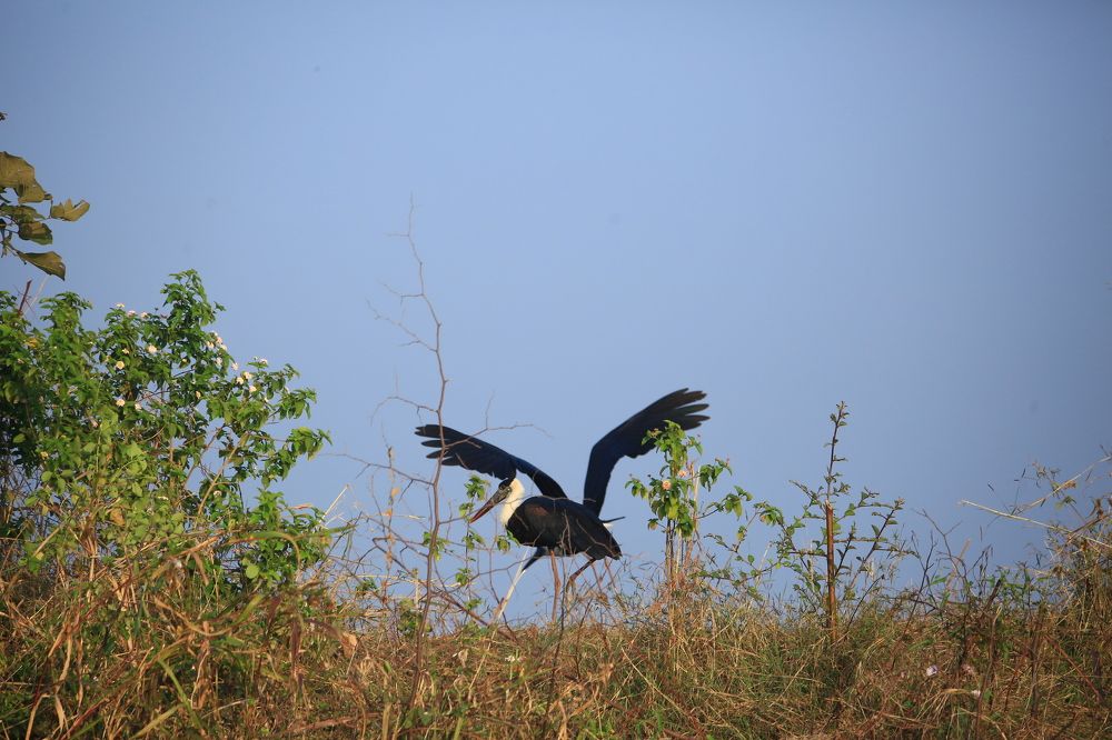 Photograph by Vinayak Sharma