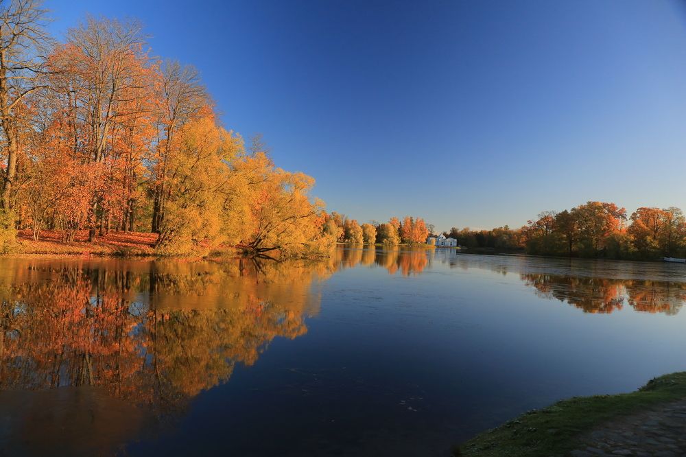 Photograph by Николай Бакулин