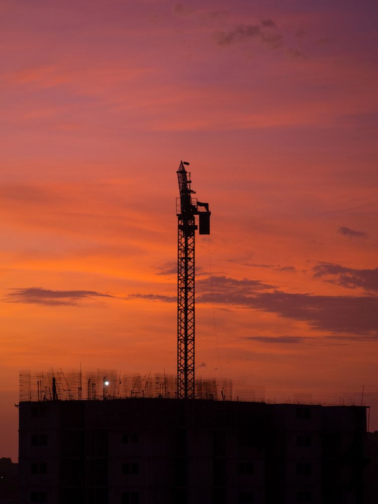 Фотография автора Camilo Rojas