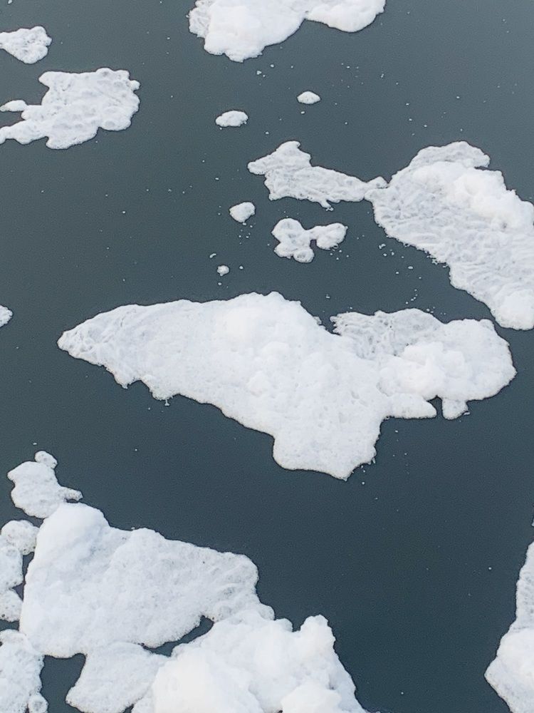 Photograph by Rafiqul islam Md