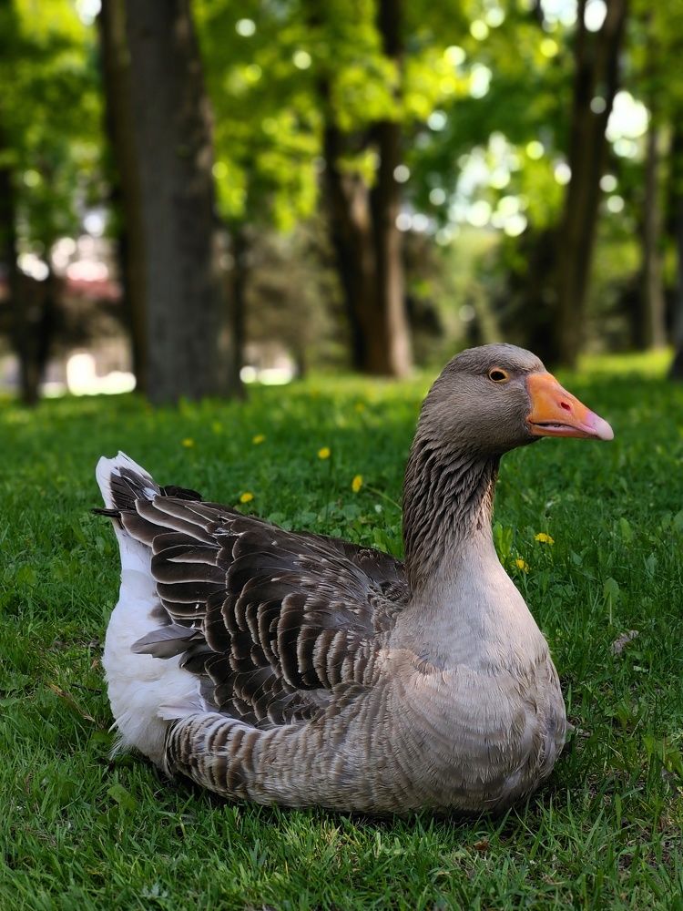 Photograph by Олег Васильев