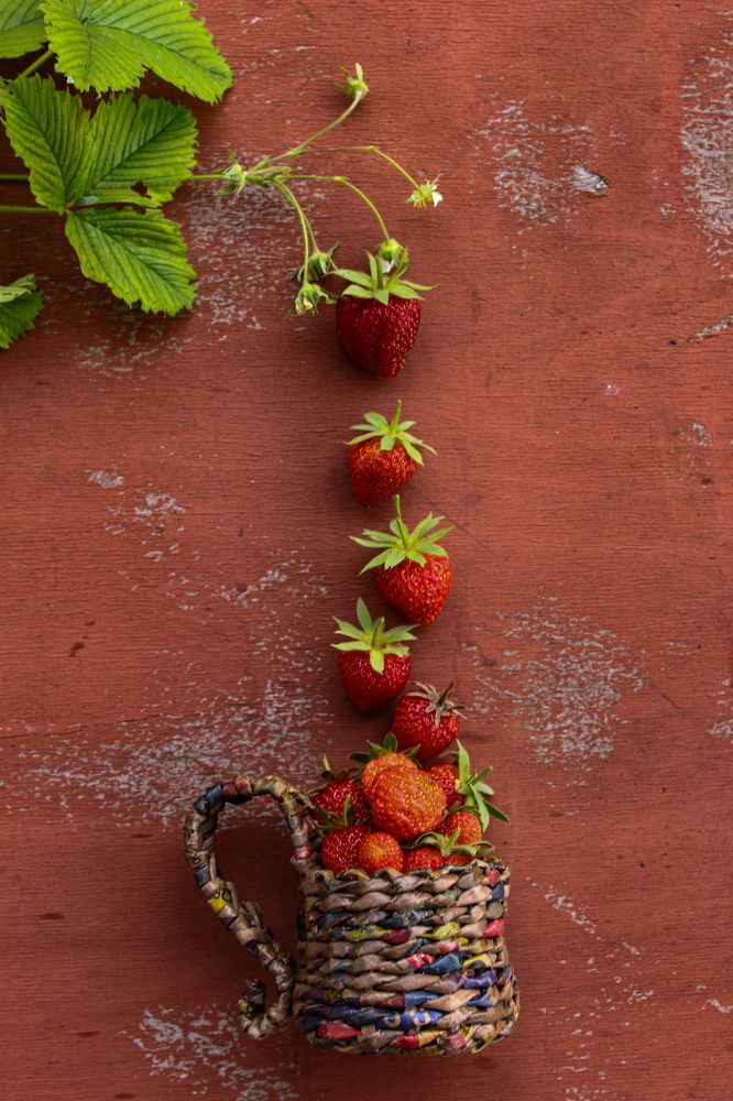 Photograph by Ирина Дмитриенко