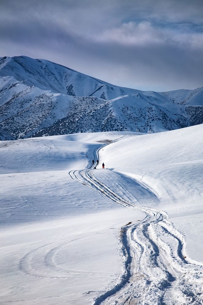 Белое безмолвие