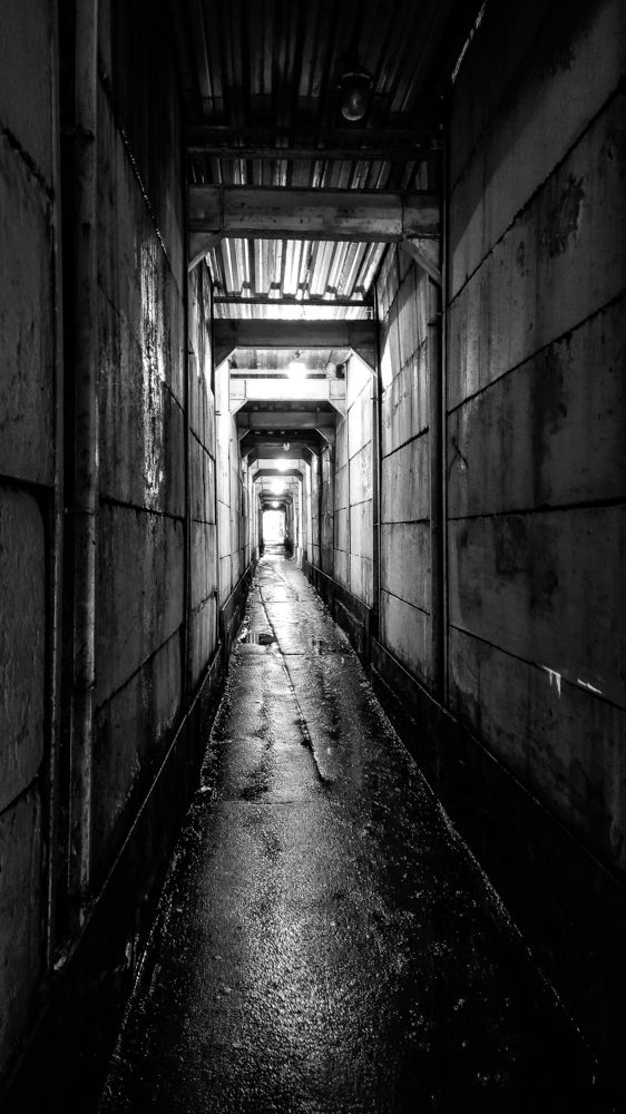 Photograph by Александр Гордиенко