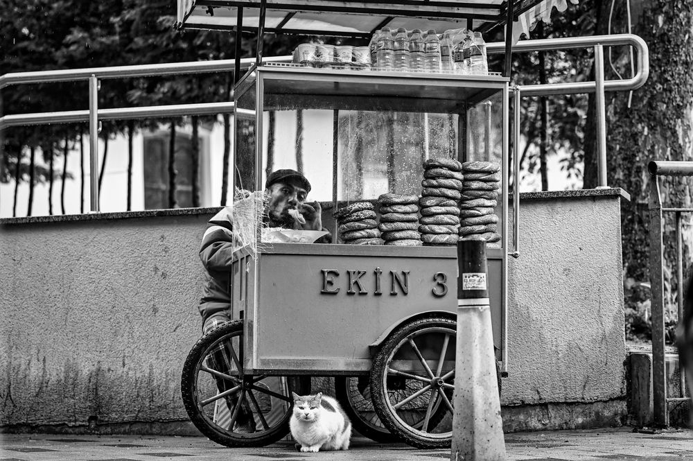 Photograph by Abdullah Al Battah