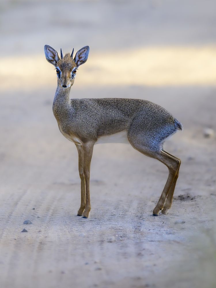 Photograph by Пупонин Сергей