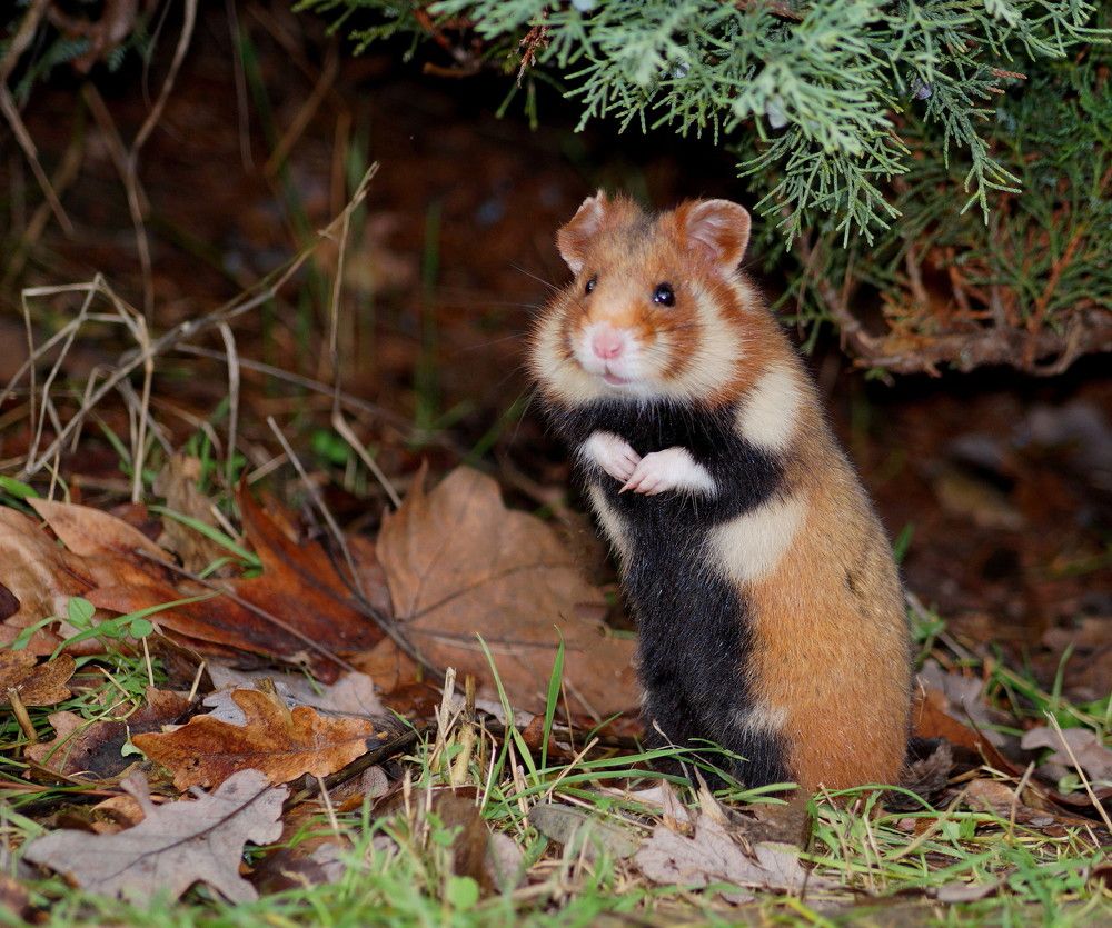 Photograph by Наталья Степаненко