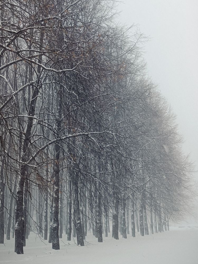 Photo #10360286