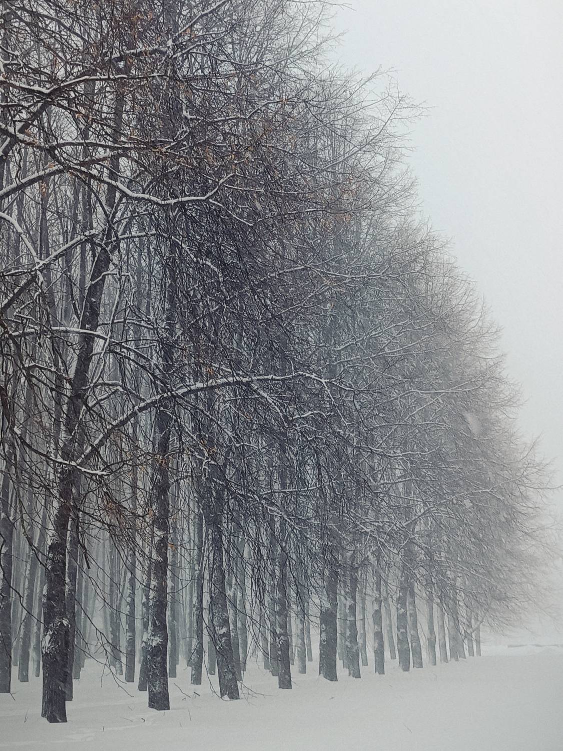 Photo #10360286