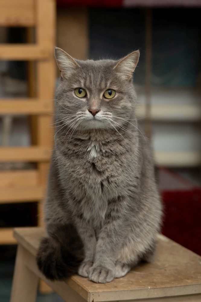 Photograph by Инна Баевская