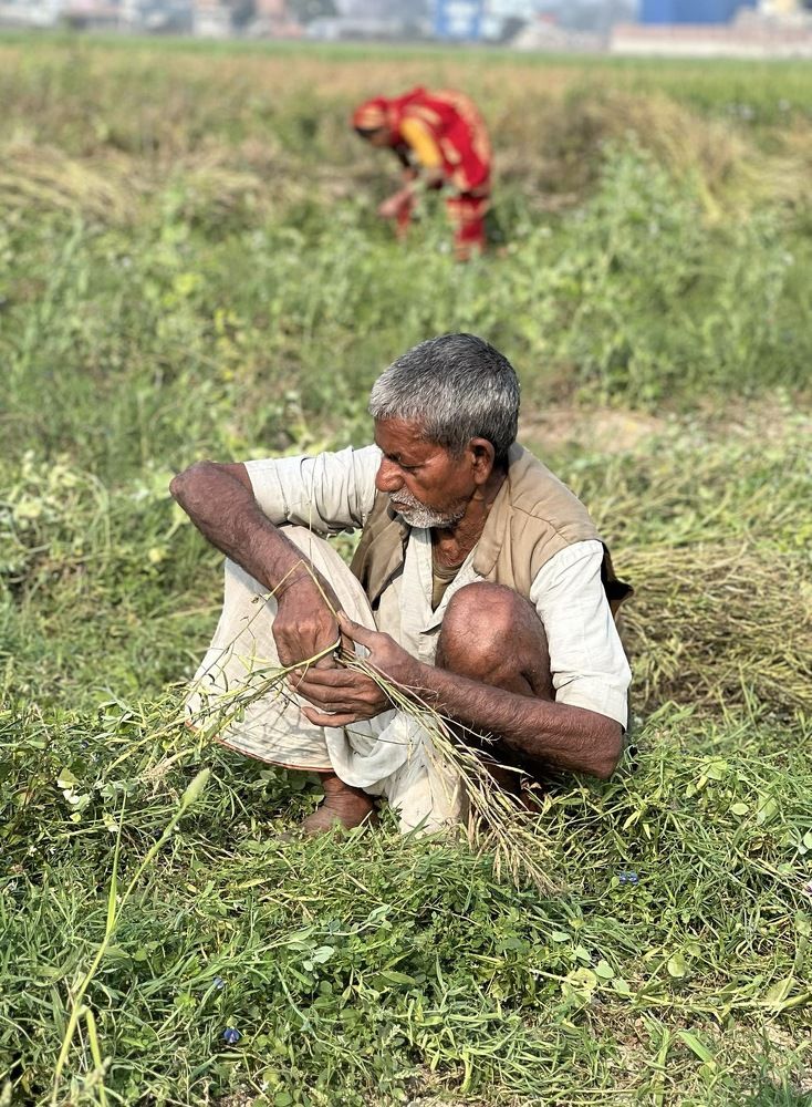 A farmer's life of toil
