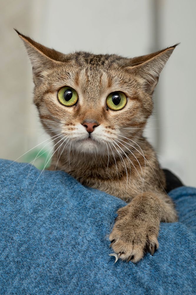 Photograph by Инна Баевская