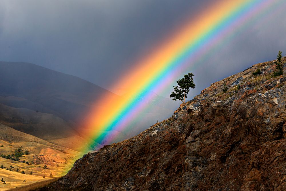 Photograph by виктор ковчин