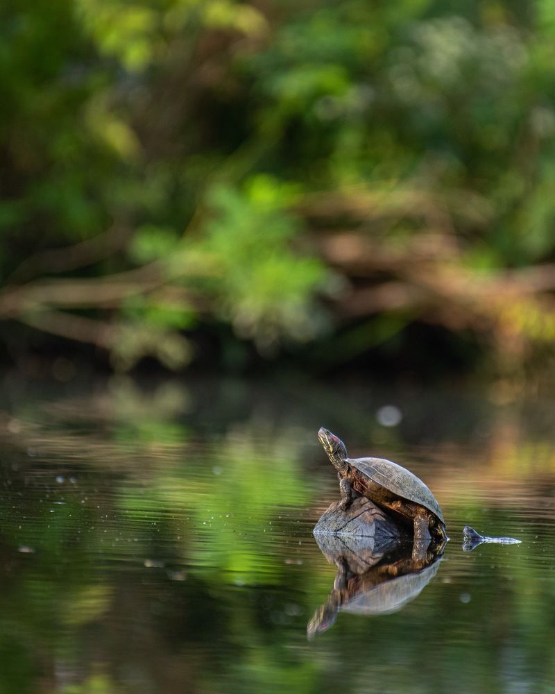 Photograph by Yogeshkumar Vijayarajan